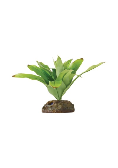 Exo Terra Teraryum İçin Plastik Bitki 50 x 22