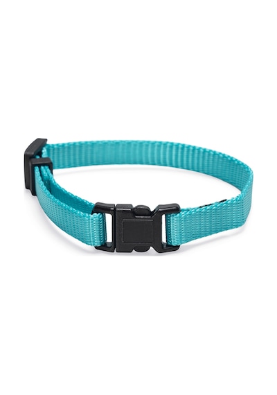 Hnrlıshp Beeztees Yavru Köpek Boyun Tasması, Çeşitli Renklerde, 17-25cm, 10mm Çok Renkli