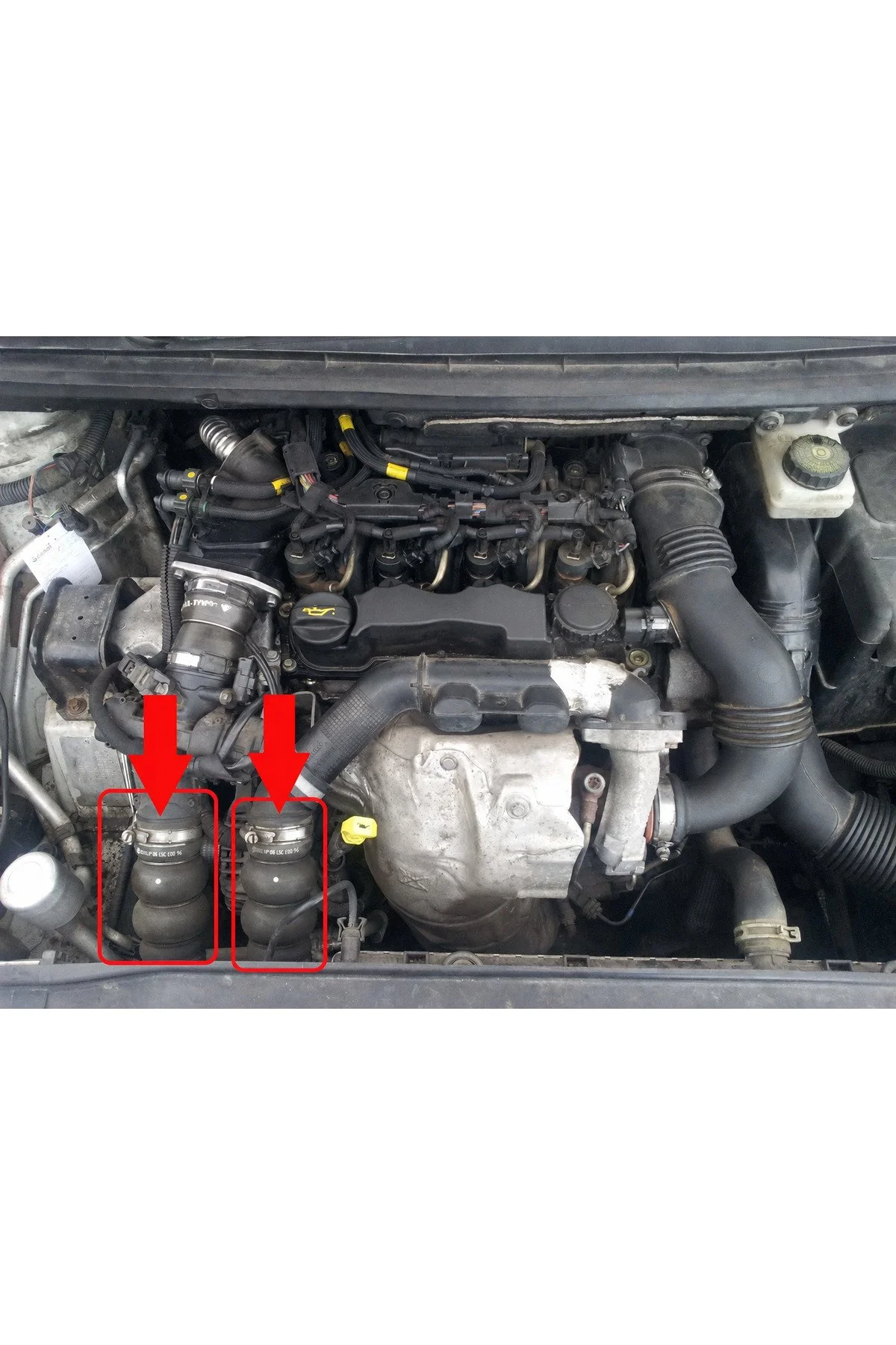 Gvu Auto Parts Citroen Berlingo Uyumlu 1.6 C3 1.6 Xsara C4 C4 Picasso Turbo Hortum 0382.gk