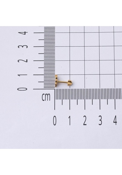 Bilezikci  Minik Kuş 14 Ayar Altın Tragus Küpe Kphss14k22478 Sarı