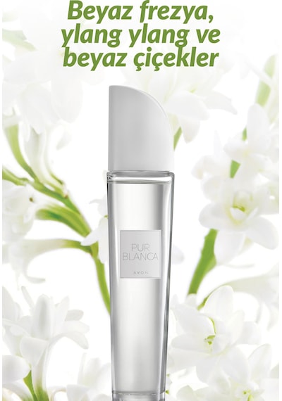 Celebre Ve Pur Blanca Kadın Parfüm Seti Diğer
