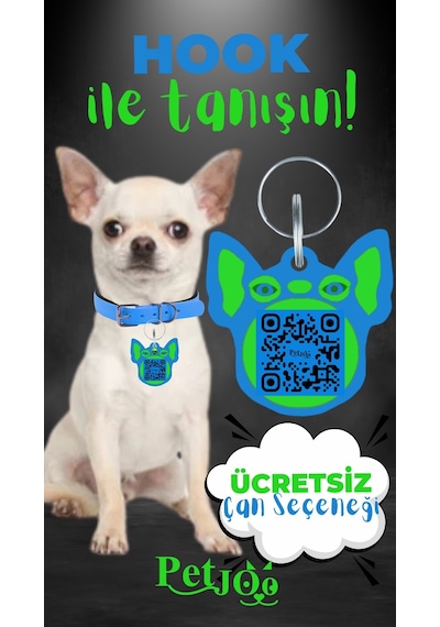 Petjoo 7.Hook Yeşil-Mavi Qr'lı Köpek Künyesi