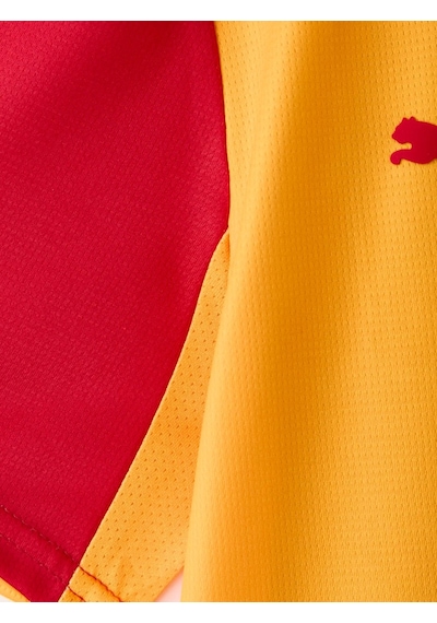Galatasaray S.k. Parçalı Forma 26/27 İç Saha Parçalı 5 Yıldızlı Erkek Forma Sarı - Kırmızı
