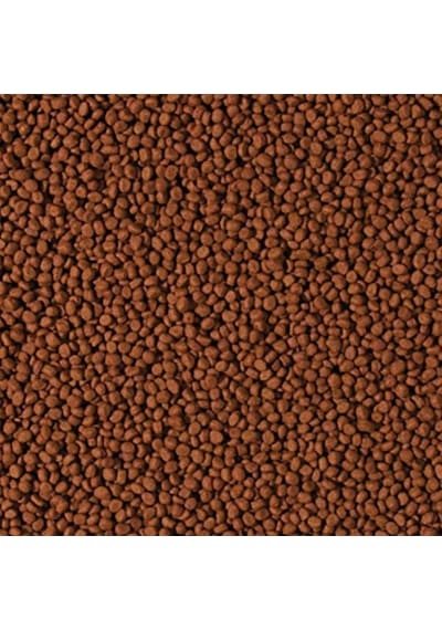 Tropical Cichlid Carnivore Small Pellet 100 Gram Küçük Granül Bal