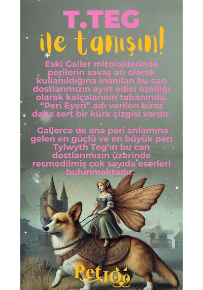 Petjoo 15.T.Teg Sarı-Pembe Qr'lı Köpek Künyesi