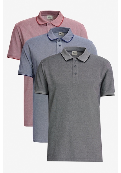 AC&Co / Altınyıldız Classics Erkek Bordo-Acık Sıyah-Acık Lacı Çekmeyen Pamuklu Kumaş Slim Fit Dar Kesim 3 'Lü Kıvrılmaz Polo Yaka Tişört Çok Renkli AC&Co / Altınyıldız Classics Erkek Bordo-Acık Sıyah-Acık Lacı Çekmeyen Pamuklu Kumaş Slim Fit Dar Kesim 3 'Lü Kıvrılmaz Polo Yaka Tişört Çok Renkli