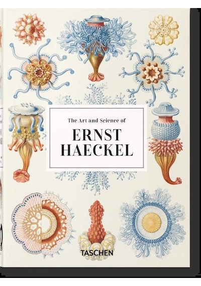 The Art And Science Of Ernst Haeckel