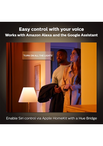 Philips Hue Iris - Silver (Special Edition)