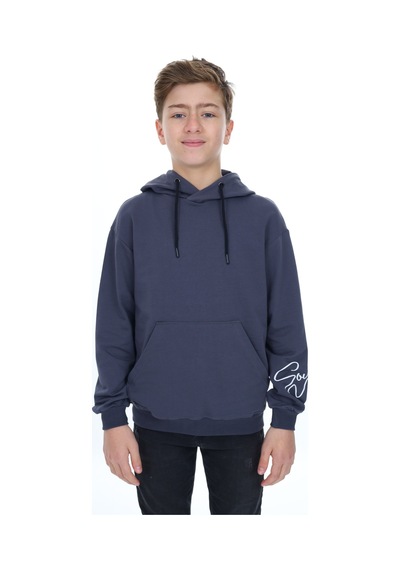 Toontoy Kids Toontoy Erkek Çocuk Baskılı Sweatshirt Füme