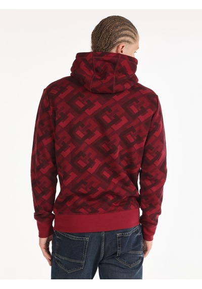 Colin's Colins Regular Fit Baskılı Kapüşonlu Mor Erkek Sweatshirt Mor