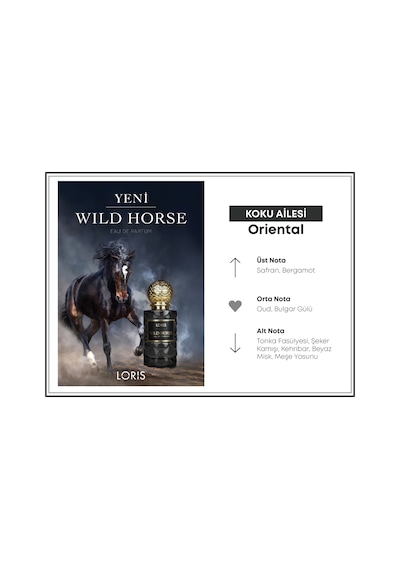 Loris Wild Horse Erkek Parfüm EDP 50 ML