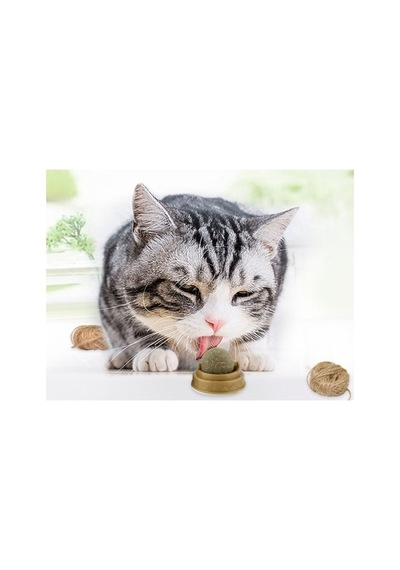 Kedi Otu Oyun Topu Cat Mint 0.05 M