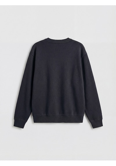 Lcw Vision Antrasit Regular Fit Bisiklet Yaka Erkek Sweatshirt