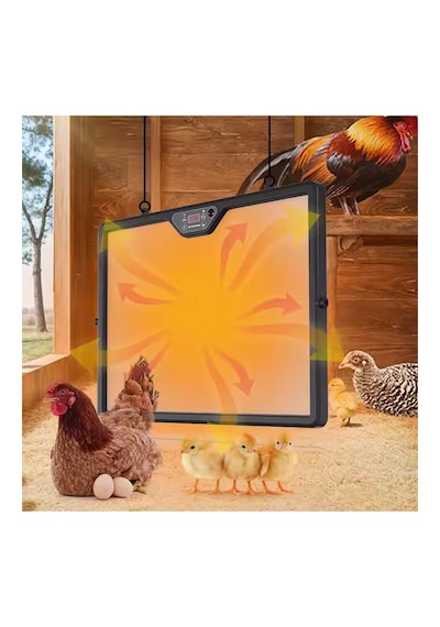 Çift Taraf Isıtma Plaka Kuluçka Makinesi