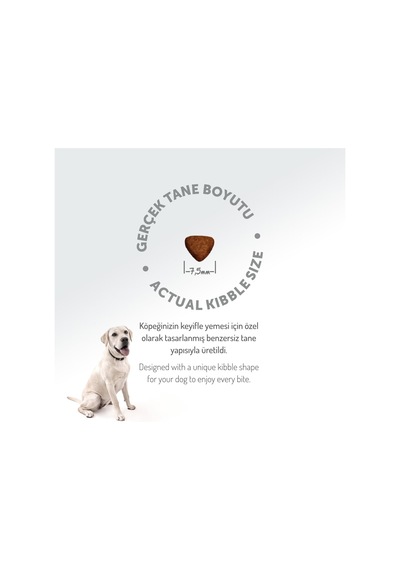 Tr Az Tahıllı 6 Kg Yavru Kuzulu Small/mini Hypoallergenic Köpek Maması