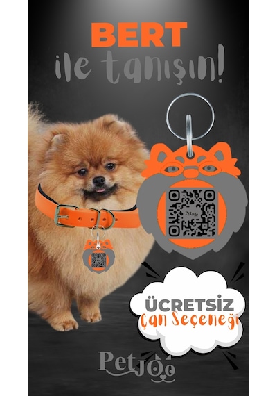 Petjoo 13.Bert Gri-Turuncu Qr'lı Köpek Künyesi
