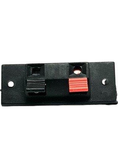 Electroon Ikili Hoparlör Terminali 20X55Mm -10Adet