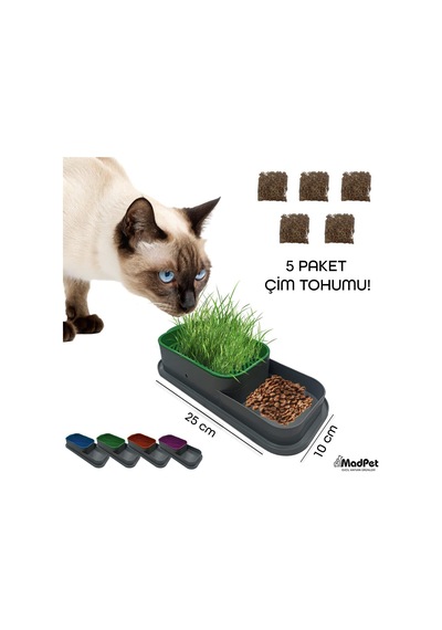 Topraksız Kedi Çimi Kabı Mavi 5 Paket Çim Tohumlu Hidroponik Çim Yetiştirme Seti Kediler İçin Doğal Çim Yetiştirme Kutusu Evde Kolay Çimlendirme Ve Sindirim Desteği