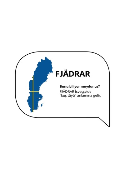 Fjadrar İç Minder, Kirli Beyaz