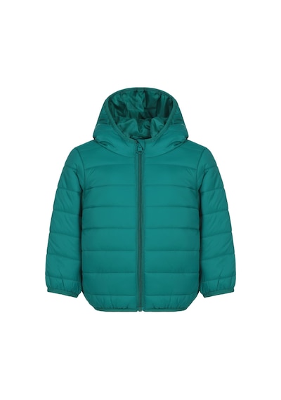 Civil Boys Ray Desenli Parlak 2-5 Yaş Mont - Yeşil Benetton