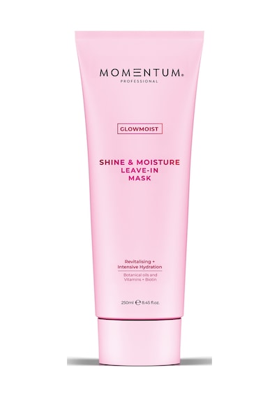Momentum Shine & Mousture Durulanmayan Saç Bakım Maskesi 250 ML