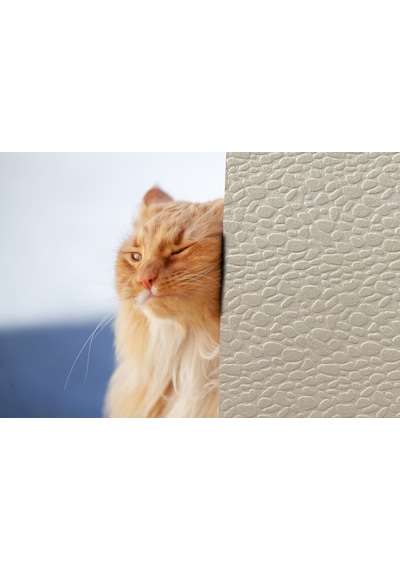Tink 3d Kendinden Yapışkanlı Akustik Keçe Panel Leopar Desenli 52x98 Cm 10 Adet 5 M² Ekru