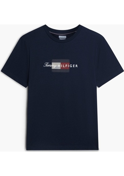 Tommy Hilfiger Scrıpt Flag Regular Tee Erkek Mavi T-shirt - Mw0mw43226