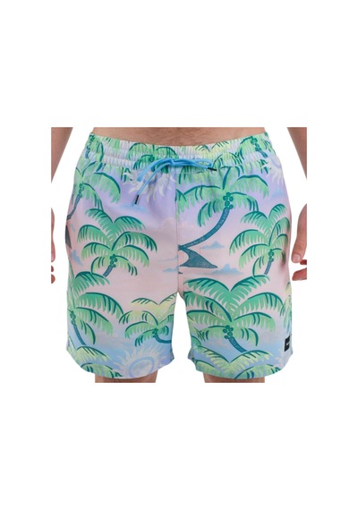Hurley Hurley Cannonball 17 Erkek Volley Short 7699 Çok Renkli