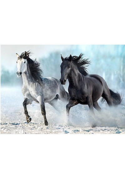 Blue Focus 1000 Parça Puzzle Horses Atlar