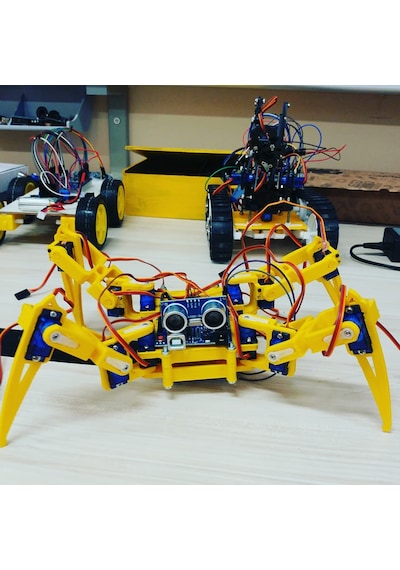 Örümcek Robot 12 Sg90 Siyah
