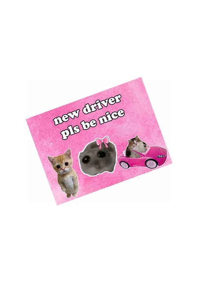 New Driver Pls Be Nice Özel Tasarımlı Araba Araç Magneti 15x20 Cm
