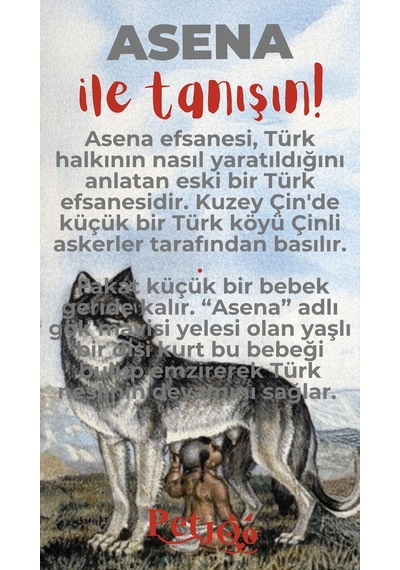 Petjoo 25.Asena Kırmızı-Gri Qr'lı Köpek Künyesi