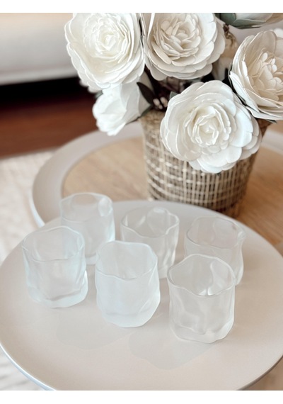 Linanware 6'lı Viski/kokteyl Tasarım Cam/dışı Silikon Kaplı Bardak 200 Ml Dsg-13