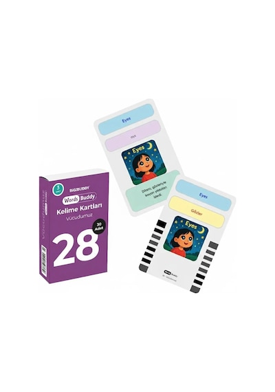 Bigibuddy WordsBuddy Türkçe İngilizce Kelime Kartları Bedenim ve Günlük Yaşam 90 Kart 3’lü Set (BigiOne Cihaz Hariç)