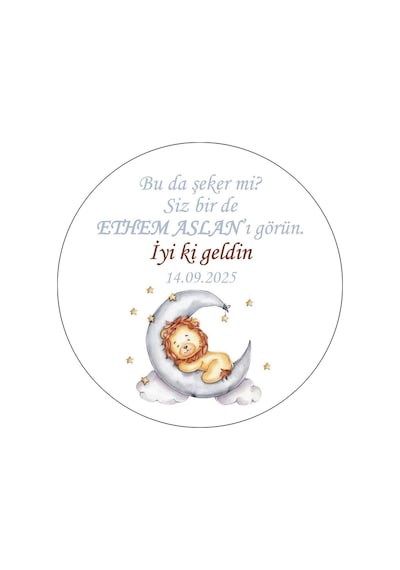 Aslan Konseptli Etiket Hediyelik Etiket 4 CM - 110 Adet Folyo Sticker Renkli