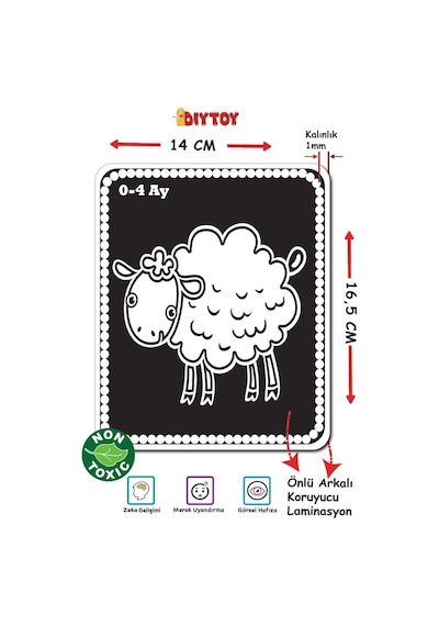 Diytoy Bebeğimin İlk Zeka Kartları Flash Cards Eğitici Kartlar