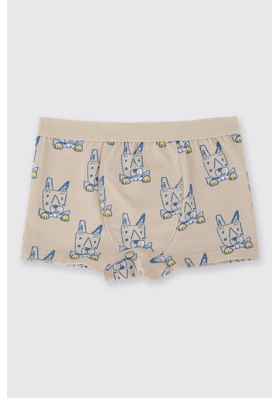 Panço Erkek Çocuk 3'lü Boxer Seti Renkli