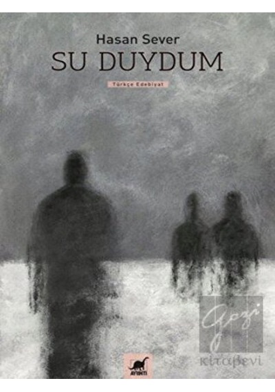 Su Duydum - Hasan Sever - Ayrıntı Yayınları