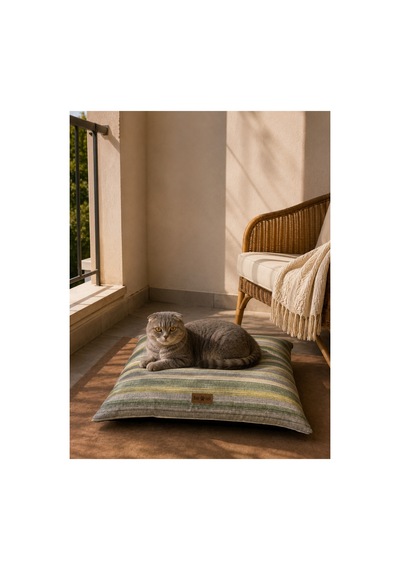 Kedi Ve Köpek Yer Minderi Üst Kalite Yıkanabilir Kılıflı Fermuarlı %100 Boncuk Elyaf Kaydırmaz Taban Kedi Ve Köpek Yatağı Çok Renkli 1604537252 Kedi Ve Köpek Yer Minderi Üst Kalite Yıkanabilir Kılıflı Fermuarlı %100 Boncuk Elyaf Kaydırmaz Taban Kedi Ve Köpek Yatağı Çok Renkli 1604537252