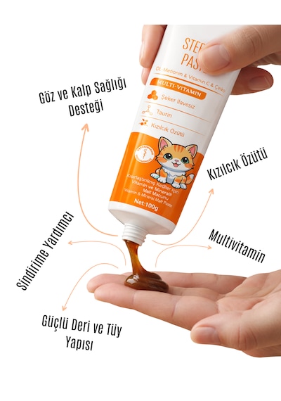 Petpower Kısırlaştırılmış Kedi Maltı Sterile Paste 100 G