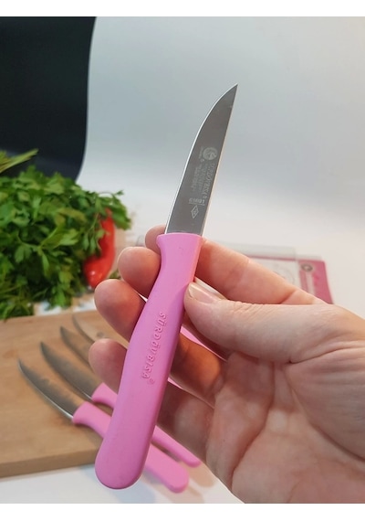 Sürbisa Meyve Takımı Pembe 6'lı 61007 7.0 Cm Çok Renkli