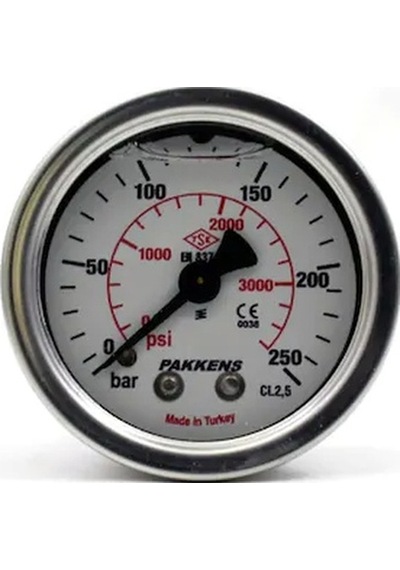 Pakkens Çap 100 0/250 Bar Arkadan Bağlantı Gliserinli Manometre