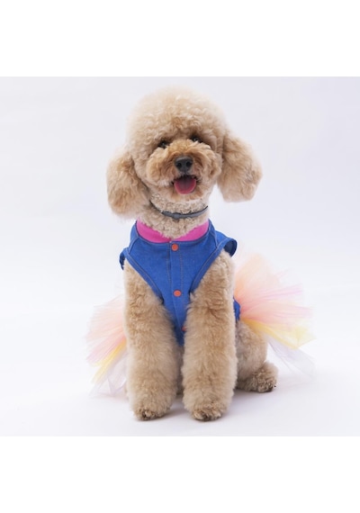 Pawstar Ice Cream Kedi Köpek Elbisesi Kedi Köpek Kıyafeti
