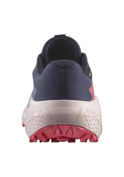 Salomon Alphaglıde Gore-tex Kadın Ayakkabısı L47802300 Çok Renkli