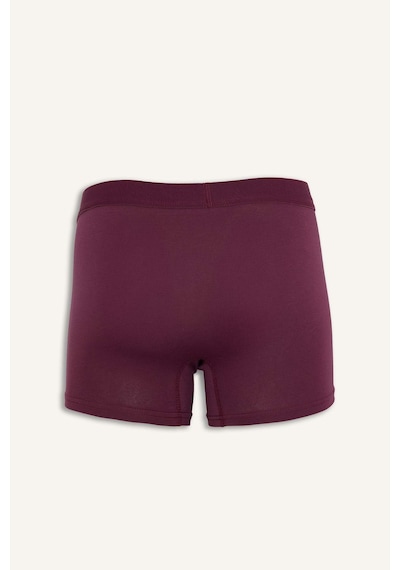 Defacto - Regular Fıt 3'lü Boxer E0023AX24WN Mor