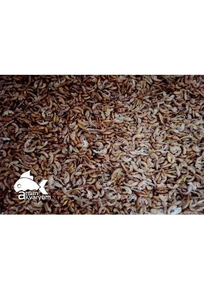 Kurutulmuş Karides Gammarus Balık Yemi 10 Gram