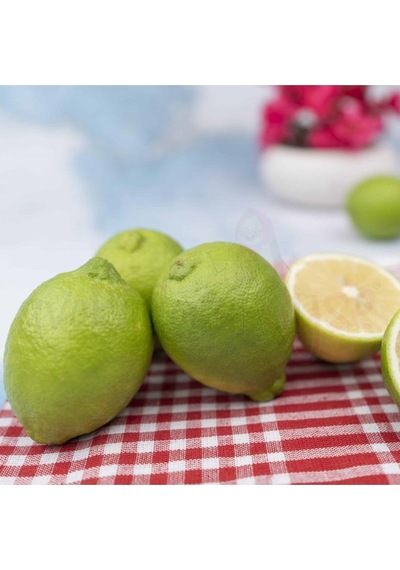 Kıbrıs Limon 80 Cm 100 Cm