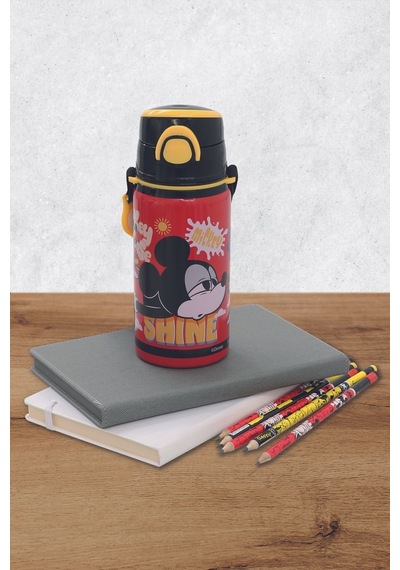 Frocx Mickey Mouse Çelik Matara Salto 500 Ml R&s Çok Renkli