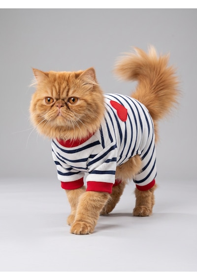 Mon Amour Çizgili Kedi Uyku Seti Penye Kedi Tulum Ve Mini Yastık Takımı Pamuklu Tüy Dökülmesini Azaltır