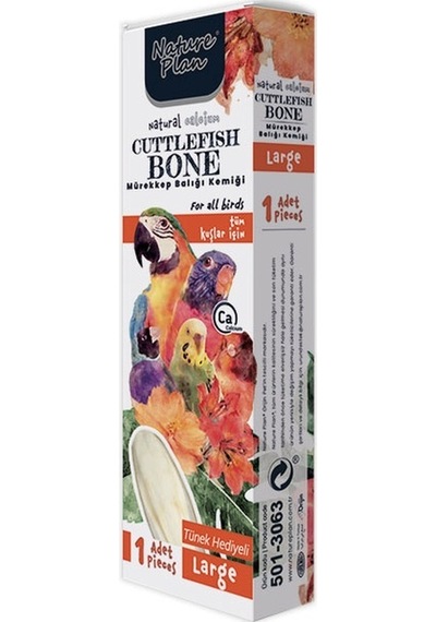 Nature Plan Mürekkep Balığı Kemiği Large 12